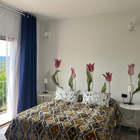 B&B Le Cicale 비에스테 외부 사진